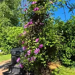 Cozy No 2 Wellness Hottub, Sauna En Houtkachel Semesterbostad *
