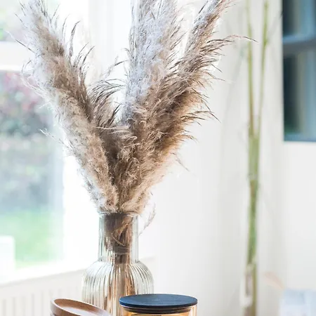 Cozy No 2 Wellness Hottub, Sauna En Houtkachel Hébergement de vacances Hernen