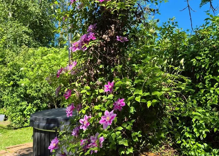 Cozy No 2 Wellness Hottub, Sauna En Houtkachel Vakantiehuis *