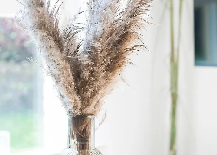 Cozy No 2 Wellness Hottub, Sauna En Houtkachel בית נופש Hernen