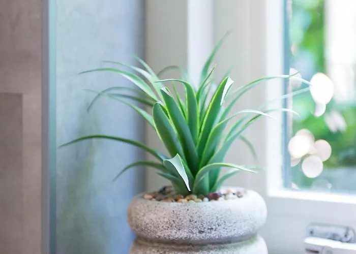 Cozy No 2 Wellness Hottub, Sauna En Houtkachel *